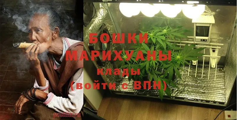 Шишки марихуана гибрид  Вязники 